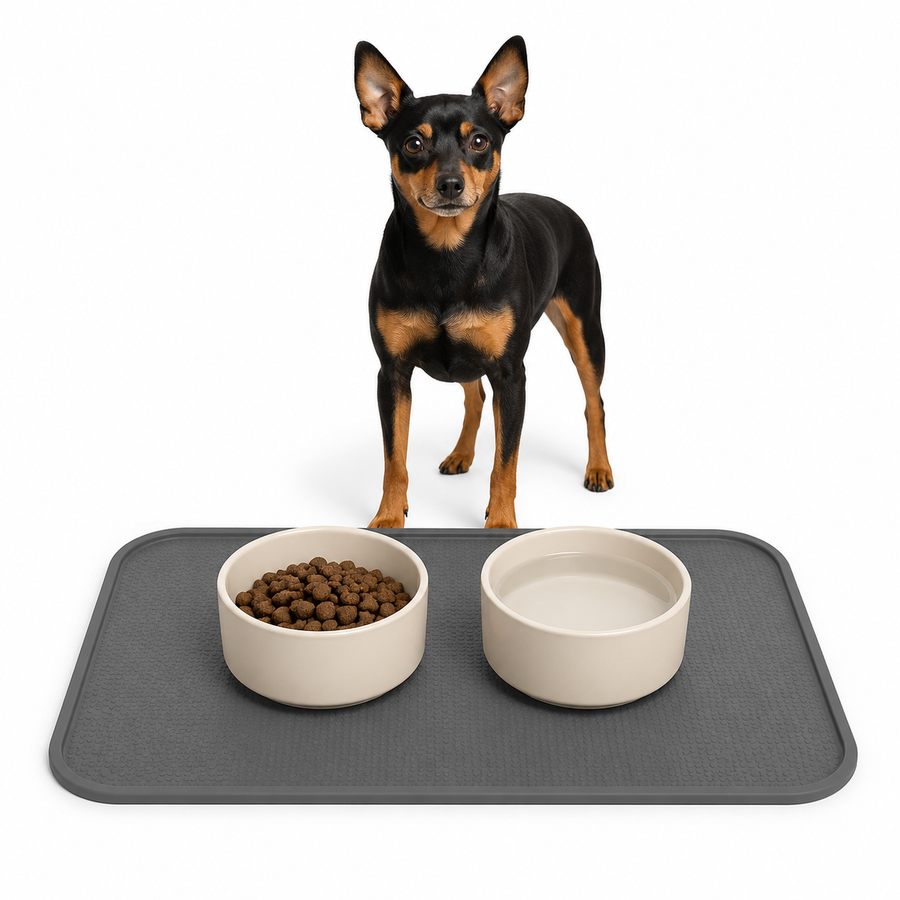 SlateGuard Raised-Edge Waterproof Pet Feeding Mat