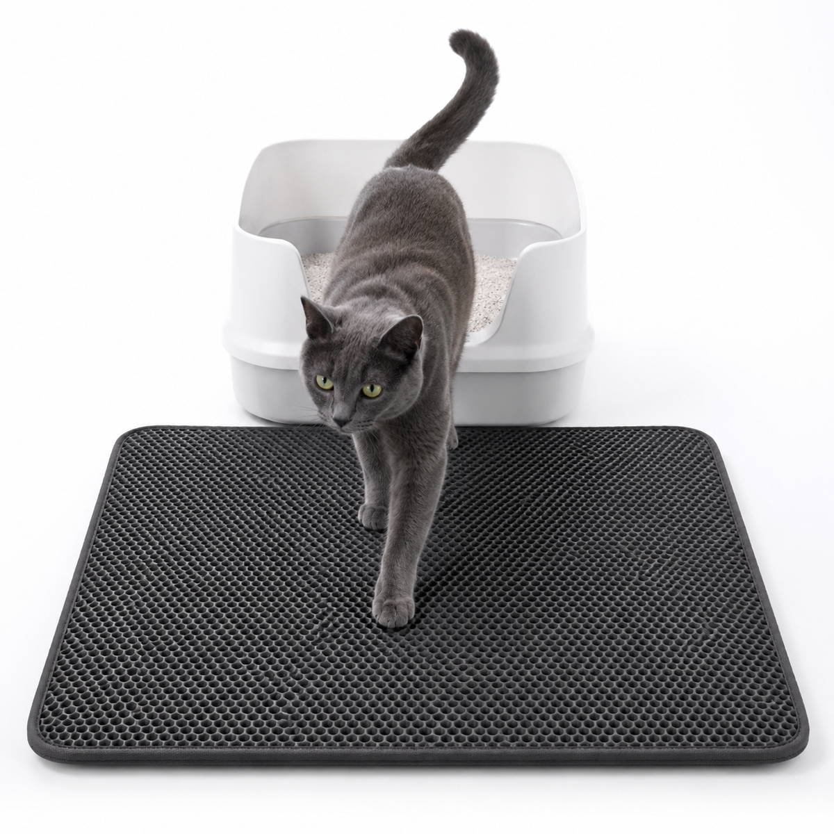 LitterLock Dual-Layer Trapping Mat