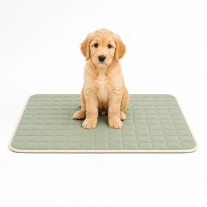 SageGuard Washable Pet Training Pad